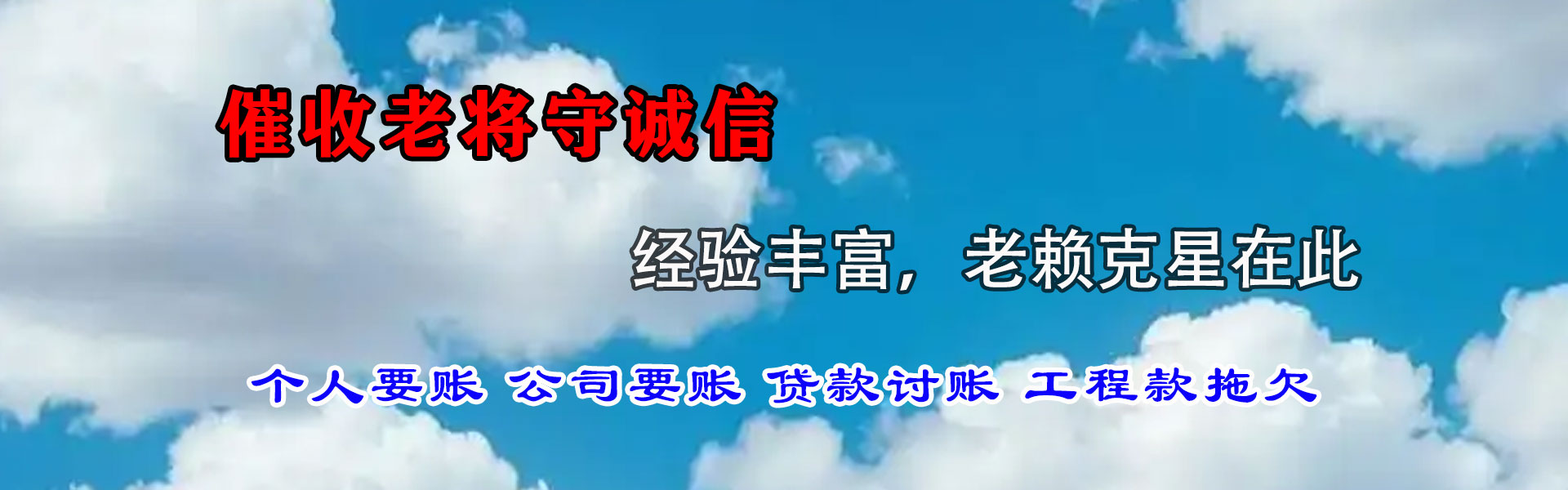 龙沙清债公司
